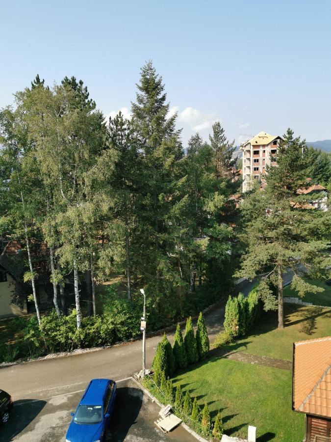Apartman Stefanovic Vila Darija Lux Zlatibor Eksteriør billede