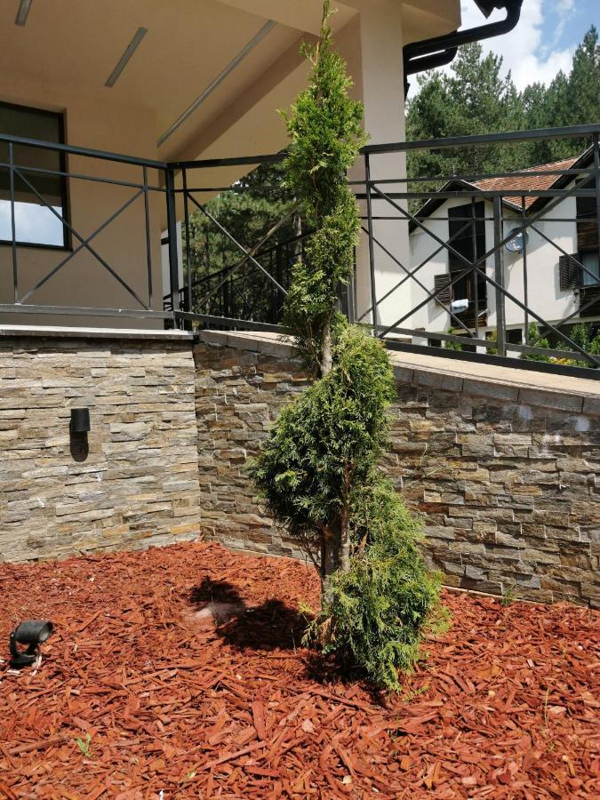 Apartman Stefanovic Vila Darija Lux Zlatibor Eksteriør billede