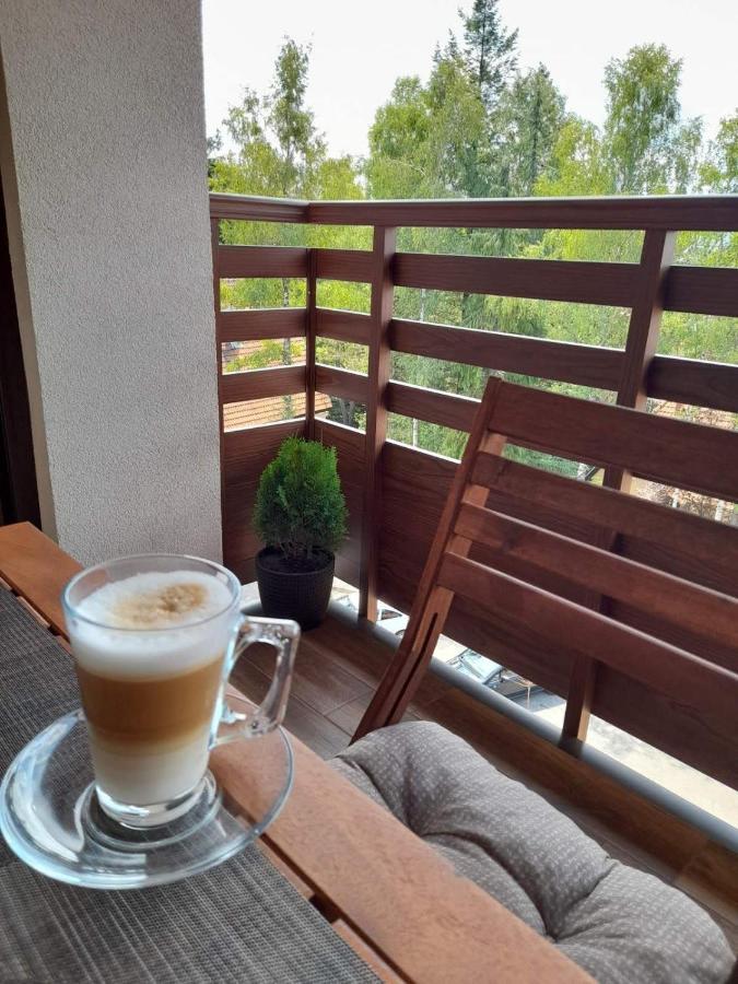Apartman Stefanovic Vila Darija Lux Zlatibor Eksteriør billede